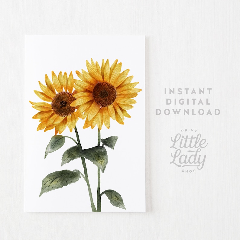 May include: A digital download print of two watercolor sunflowers with green leaves on a white background. The text "INSTANT DIGITAL DOWNLOAD" and "PRINT LITTLE LADY SHOP" is in gray text at the bottom right of the image.