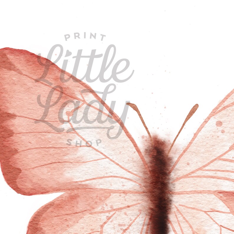May include: A watercolor painting of a butterfly with delicate wings in shades of pink and brown. The butterfly is centered in the image and has its wings spread open.