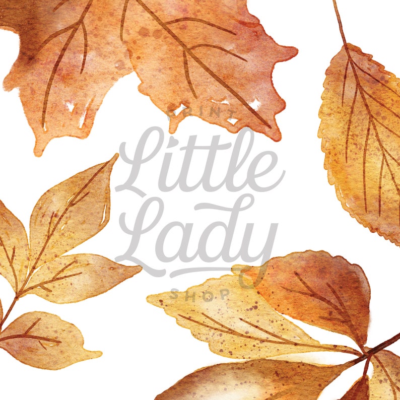 May include: A watercolor illustration of various autumn leaves in shades of orange, brown, and yellow, arranged around the central text "Little Lady SHOP" in a light gray script font, set against a plain white background.