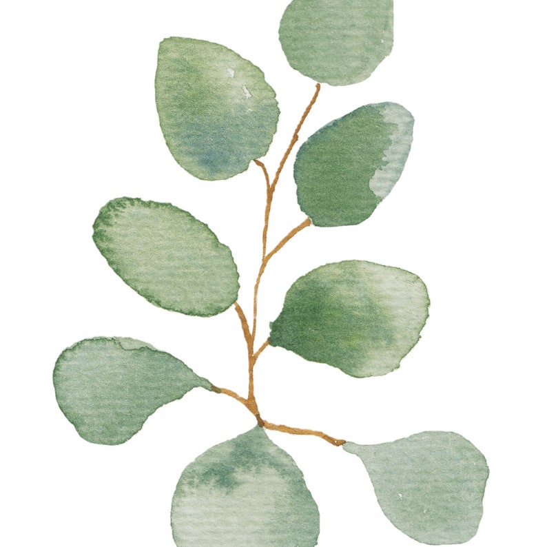 Set of 3 Prints, Eucalyptus Print, Botanical Print, Printable Art, Wall ...