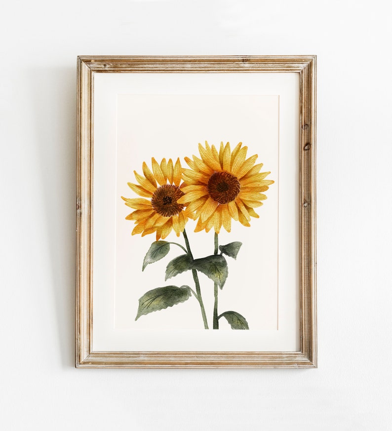 May include: A framed watercolor painting of two sunflowers with green stems and leaves on a white background.