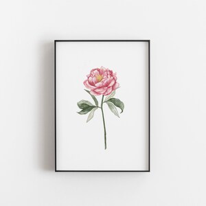 May include: A watercolor painting of a single pink peony flower with green leaves and a yellow center. The flower is depicted in a minimalist style against a white background.