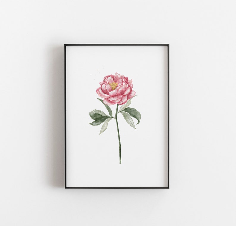May include: A watercolor painting of a single pink peony flower with green leaves and a yellow center. The flower is depicted in a minimalist style against a white background.