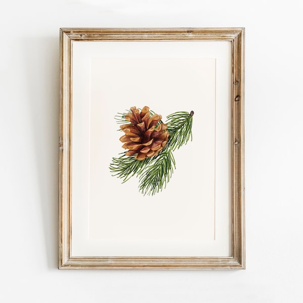 Evergreen Pine Tree Pinecone Print, Printable Wall Art, Natural Christmas Print, Botanical winter Print, Greenery Holiday Wall art