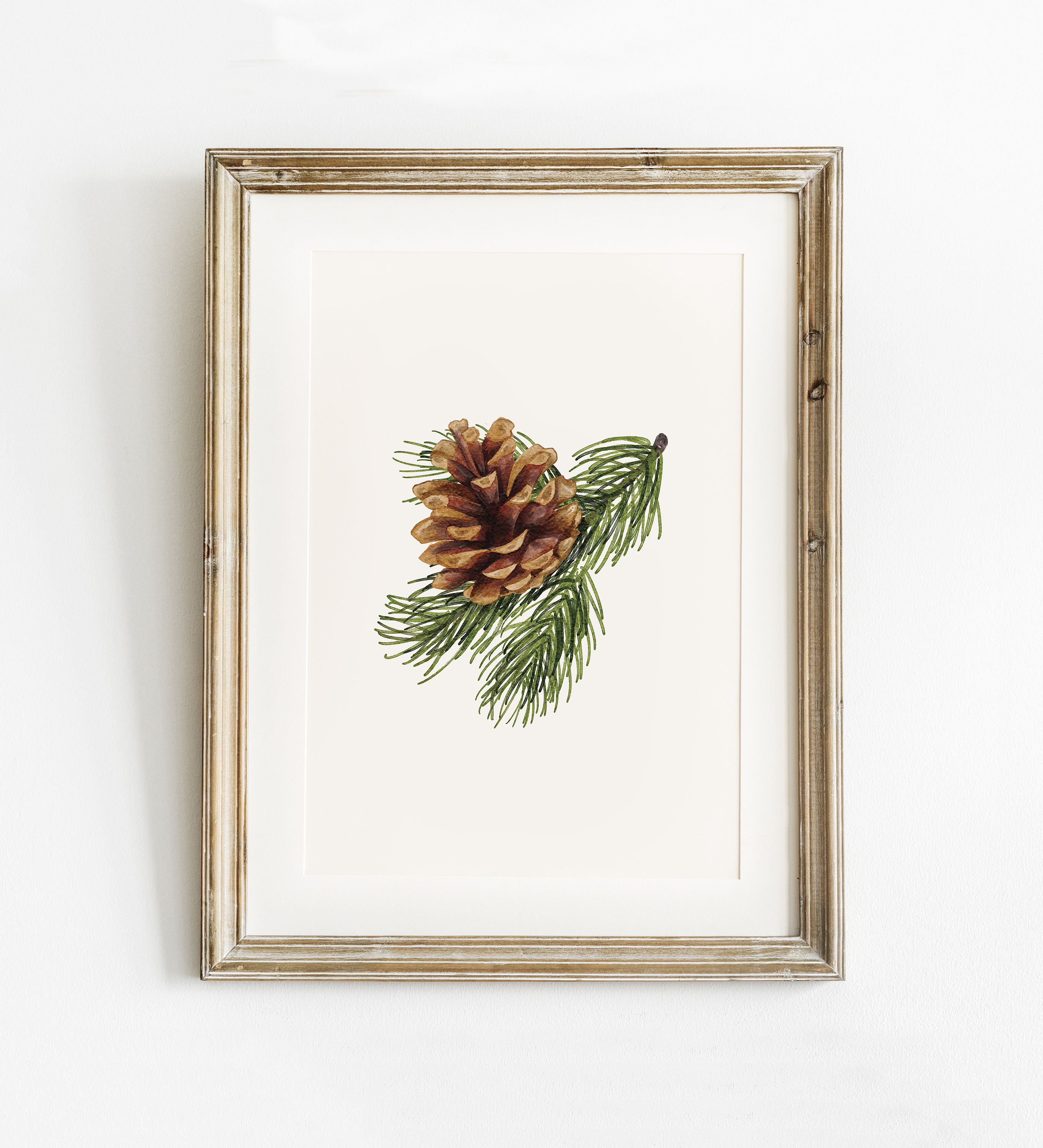 松ぼっくりのパステル画 A4サイズ il_fullxfull.3416610924_8ra0.jpg