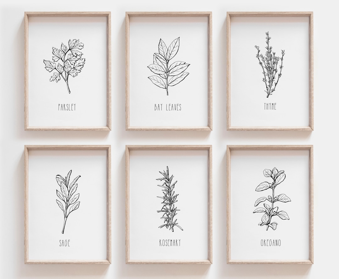 Set of 6 Herb Prints, Kitchen Printable Art, Botanical Print, Kitchen ...
