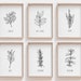 Set of 6 Herb Prints, Kitchen Printable Art, Botanical Print, Kitchen decor, Kitchen Wall Art, Kitchen Print Set, Botanical Line Art
