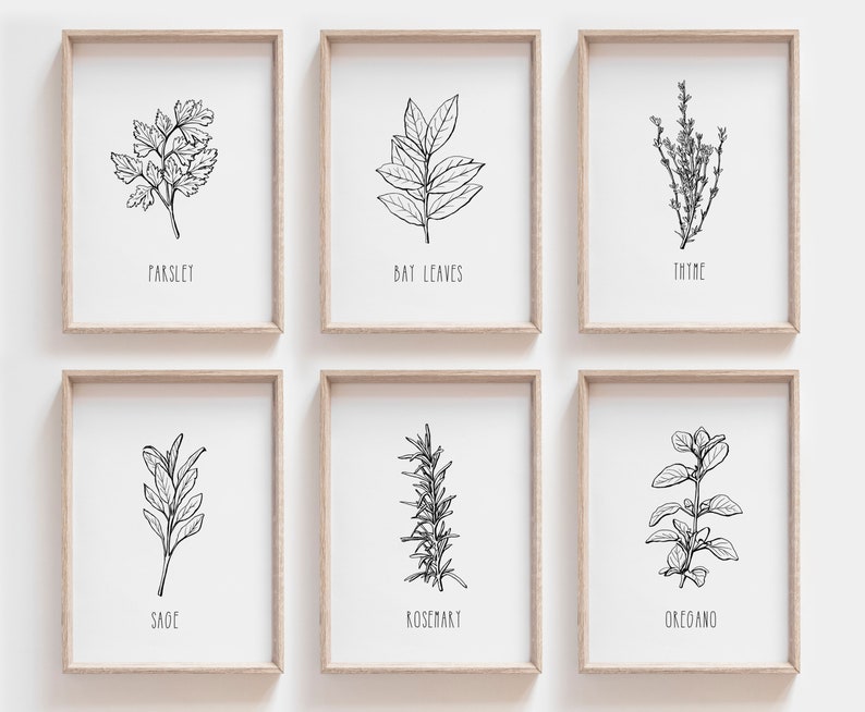 Set of 6 Herb Prints, Kitchen Printable Art, Botanical Print, Kitchen decor, Kitchen Wall Art, Kitchen Print Set, Botanical Line Art 
