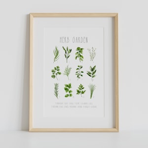 Herb Print, Herb Printable Wall Art, Watercolour herb painting, Kitchen wall decor, Kitchen Printable Art, Rosemary Sage Thyme Dill Oregano
