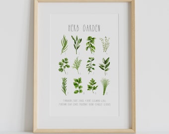Impresión de hierbas, arte de pared imprimible de hierbas, pintura de hierbas de acuarela, decoración de pared de cocina, arte imprimible de cocina, romero, salvia, tomillo, eneldo, orégano