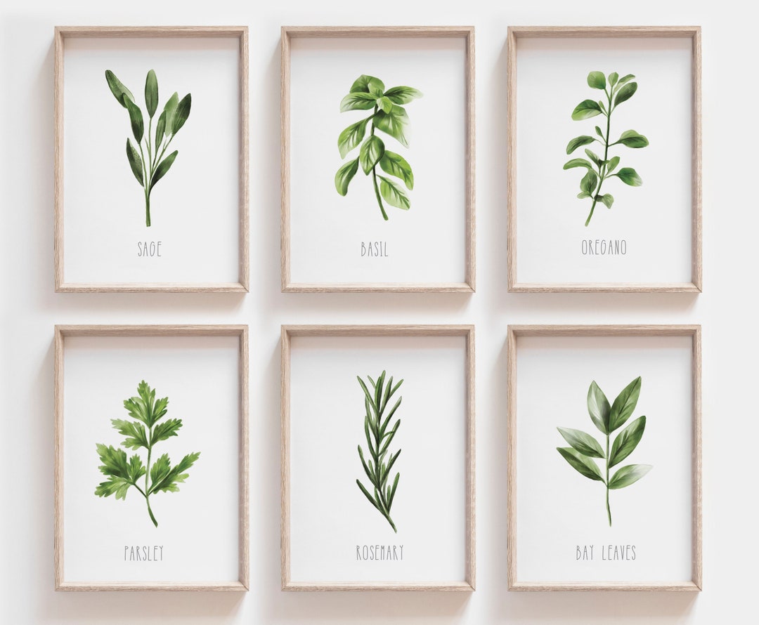 Set of 6 Watecolour Herb Prints, Kitchen Decor, Kitchen Printable Art ...