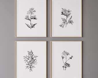 Set of 4 Wildflower Sketch Prints, Printable Art, Farmhouse wall decor, Rustic Print, Farmhouse Prints, Farmhouse Wall Art, Large Wall Art