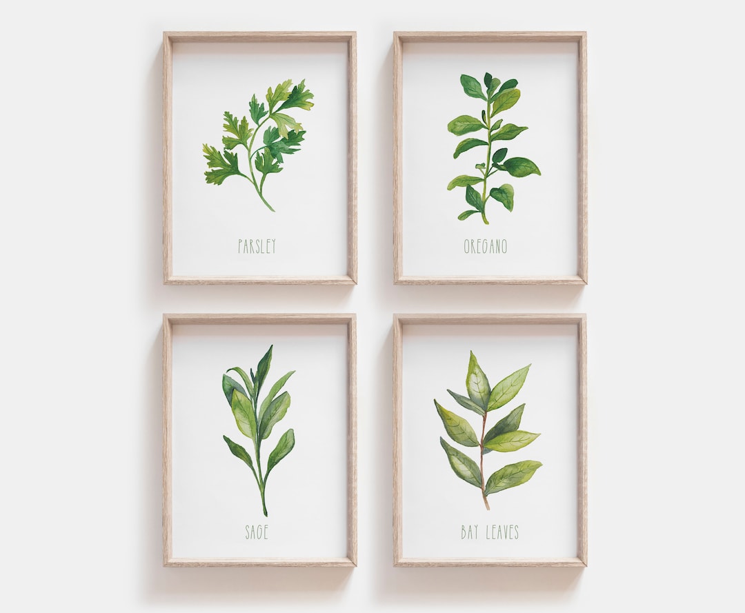 Herb Prints, Botanical Print, Herb Print Set, Printable Wall Art ...
