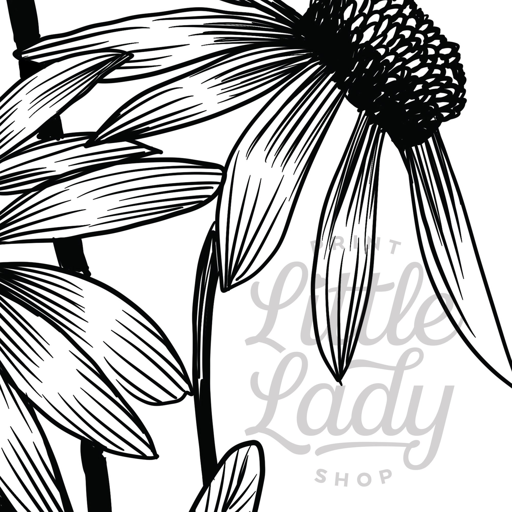 Floral Wall Art Flower Line Art Wildflower Printable Art Etsy Canada