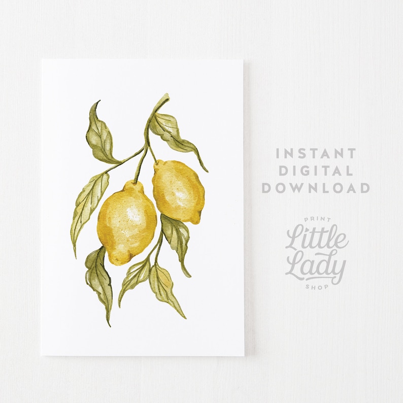 Pode incluir: Impress&atilde;o em aquarela de dois lim&otilde;es amarelos em um galho com folhas verdes. A obra de arte est&aacute; em um fundo branco. O texto &agrave; direita diz "Instant Digital Download" e "Print Little Lady Shop".