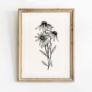 Floral Wall art, Flower line art, Wildflower Printable Art, Botanical Print, Echinacea Floral Print, Coneflower, Country modern farmhouse