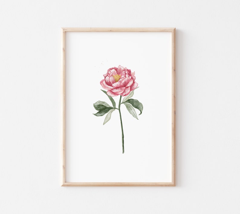 May include: A watercolor painting of a single pink peony flower with green leaves and a white background. The flower is in a simple wooden frame.