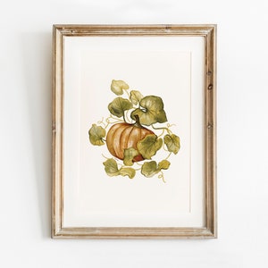 Calabaza imprimible pared arte otoño decoración otoño impresión, pintura de acuarela, descarga digital, cartel de planta de vid de calabaza botánico dibujado a mano