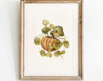 Pumpkin Printable Wall Art Autumn Decor Fall Print, Watercolour Painting, Digital Download, Hand Drawn Botanical Pumpkin Vine Plant Poster