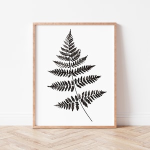Peut inclure: Une illustration aquarelle en noir et blanc d'une fougère dans un cadre en bois.