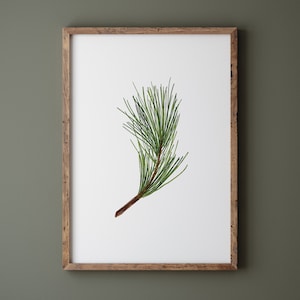 White Pine Tree Branch Print, Christmas Printable Wall Art, Winter Botanical Print, Green Botanical Christmas Print, Pine Tree Watercolour