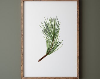 Witte dennenboom tak print, kerst afdrukbare kunst aan de muur, winter botanische print, groene botanische kerst print, dennenboom aquarel