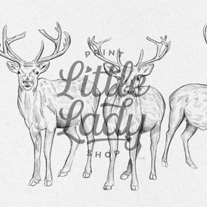 Reindeer Drawing Print Christmas Decor, Neutral Winter Printable Wall Art, Hand Drawn Deer Sketch Animal Poster, Vintage Style Holiday image 8