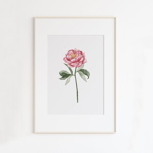 May include: A watercolor painting of a single pink peony flower with green leaves and stem on a white background.