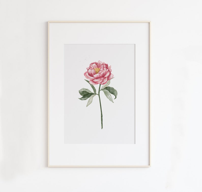 May include: A watercolor painting of a single pink peony flower with green leaves and stem on a white background.