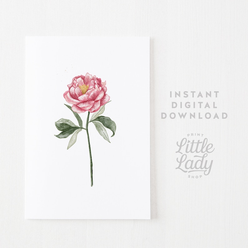 May include: A watercolor painting of a single pink peony flower with green leaves and a stem. The flower is in bloom and has a yellow center. The painting is on a white background.