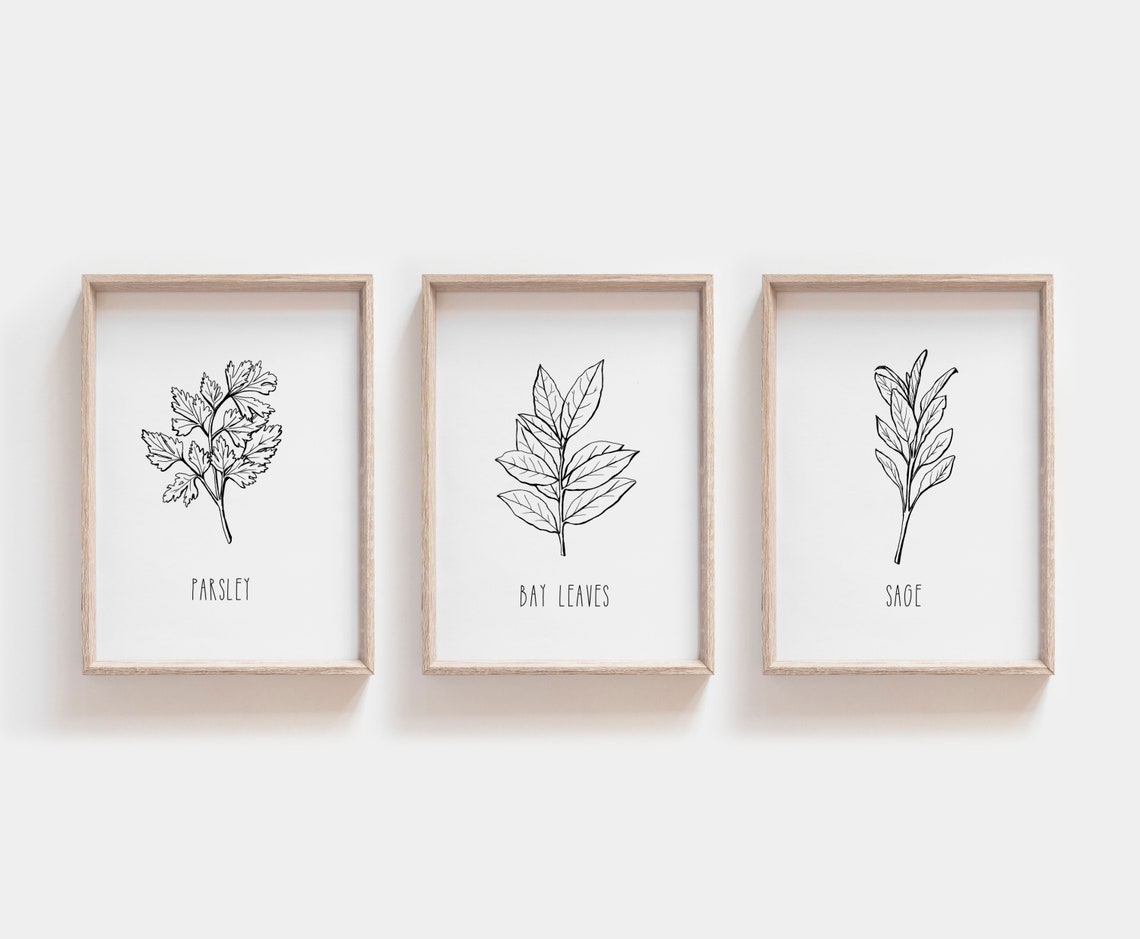 Set of 3 Herb Prints, Printable Herb Art, Kitchen Decor, Botanical ...