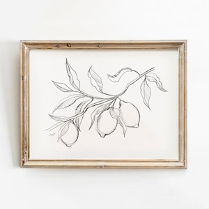 Arte de pared imprimible de boceto a lápiz de limón, decoración de cocina, impresión de rama de limón dibujada a mano, dibujo inspirado en la época del artista original