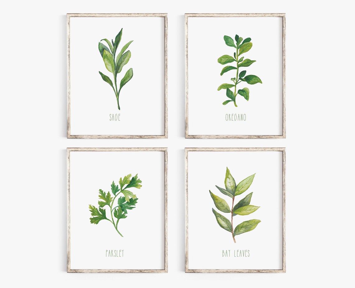 botanical herb prints set of 4 unframed botanical herb... Herb Prints, Botanical Print, Herb Print Set, Printable Wall Art ...