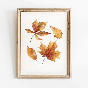 May include: A framed print featuring a watercolour illustration of four autumn leaves in shades of brown, orange, and yellow. The leaves are arranged in a random pattern on a white background.