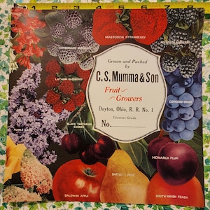 Apple Pear Peach Raspberry Strawberry Grape Blackberry Cherry Plum Flowers C.S. Mumma &Son farm Fruit Crate Label