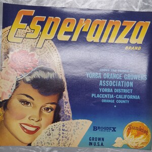 Sunkist Orange Citrus crate label Senorita Hispanic beautiful woman Art historical Agricultural Ad Very Collectable Valuable