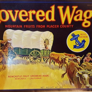 May include: A vintage label for Covered Wagon brand mountain fruits from Placer County, California. The label features a colorful illustration of a covered wagon pulled by oxen, with a cowboy on horseback in the foreground. The text "Covered Wagon Brand" is prominently displayed in yellow letters against a dark blue background.