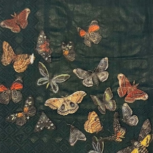 TWO (2) - Butterfly Cocktail Napkins for Decoupage - 2 ply
