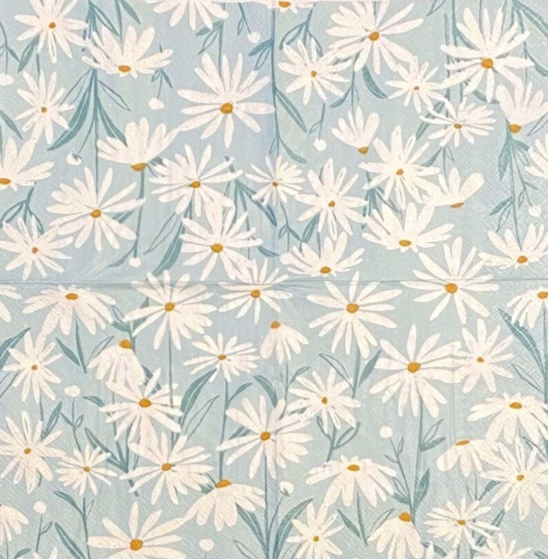 May include: A blue and white floral pattern with white daisies on a light blue background.