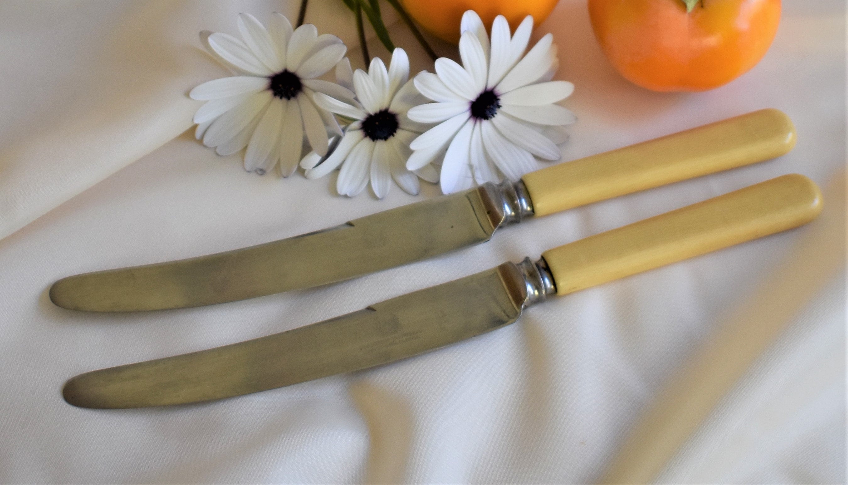 Two bone handled knives vintage knives dinner knives Etsy