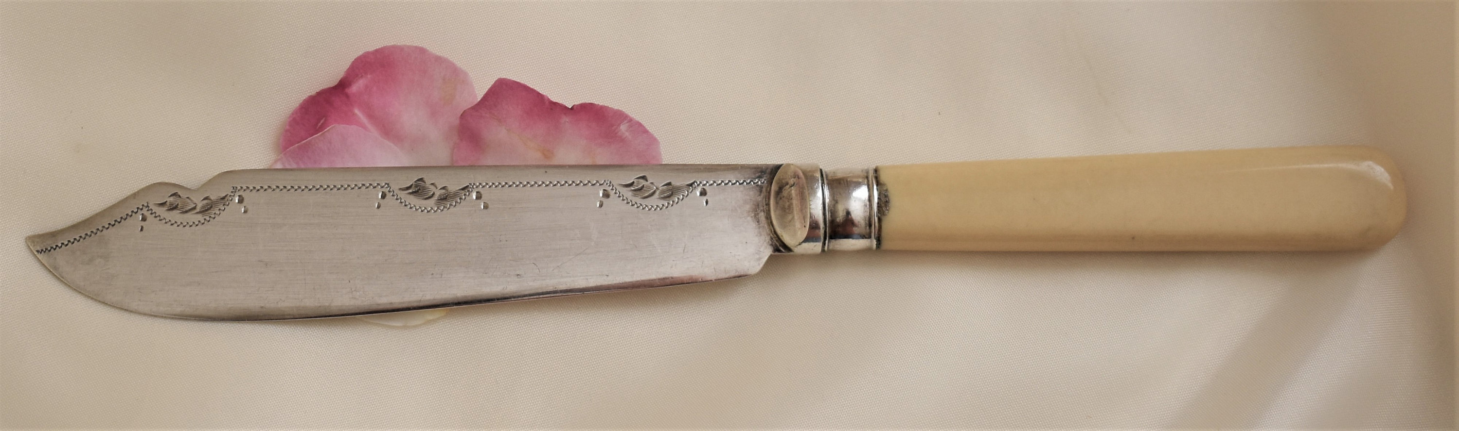Antique bone handled cake knife Victorian/Edwardian era Etsy