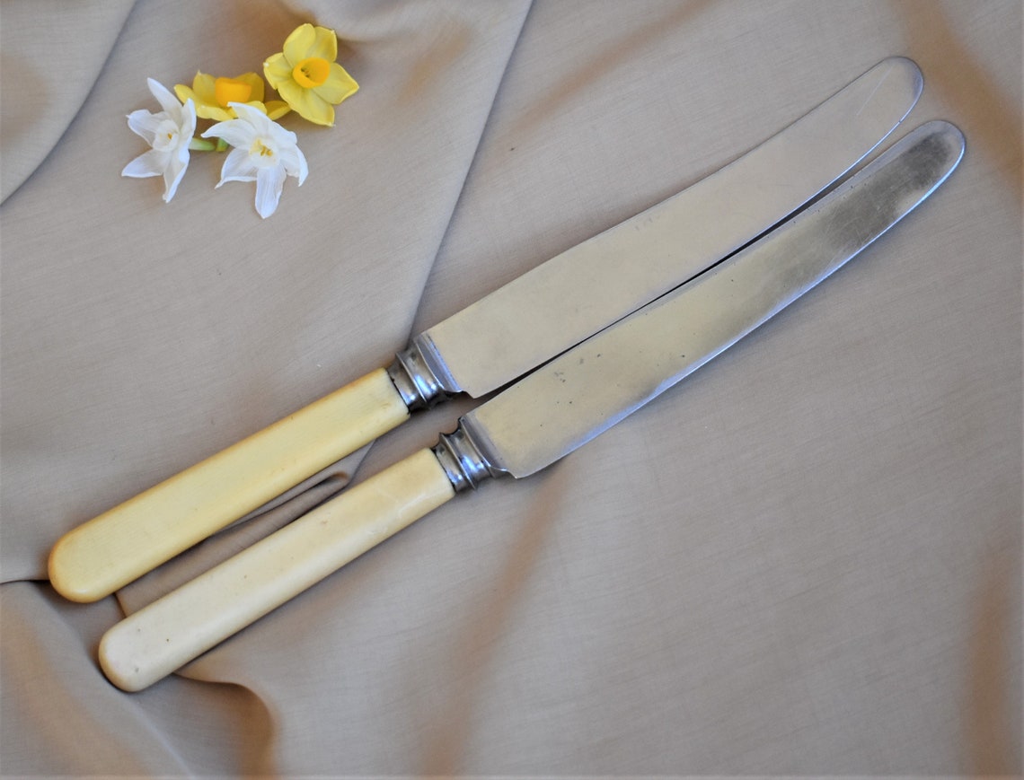 Two dinner knives bone handled dinner knives Etsy