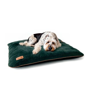 Puede incluir: Una cama para perros verde con un borde negro y una etiqueta de cuero marr&oacute;n que dice "Ballerina Belle". Un perro manchado de blanco y negro est&aacute; acostado en la cama.