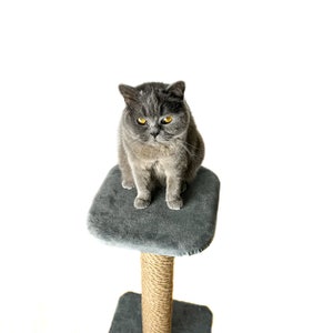 Cat scratcher, cat scratching post. Grey cat tree, bottle green cat tree. One pole cat scratcher with shelf. image 3