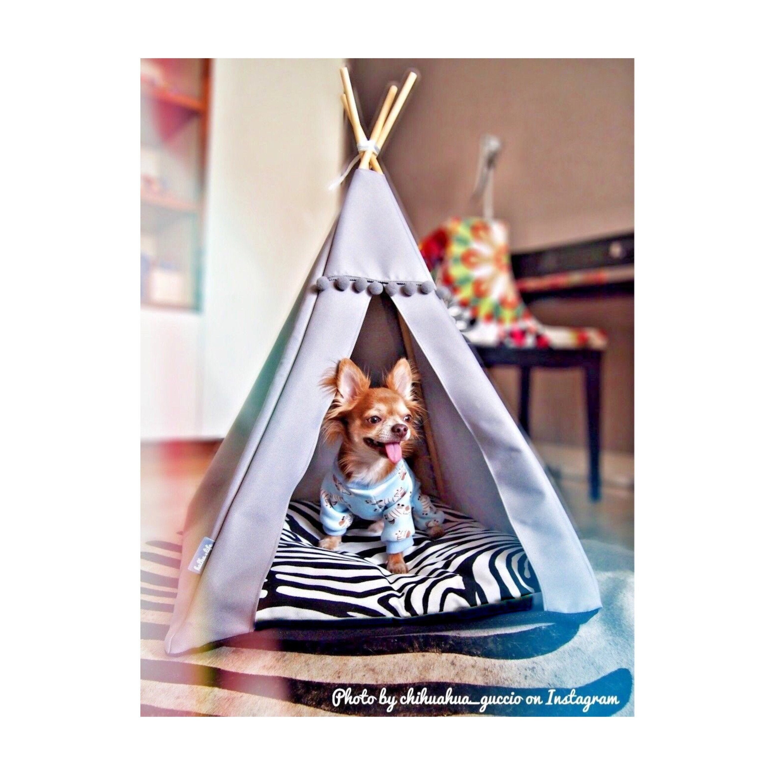 cat teepee kmart