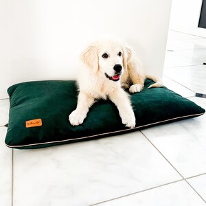 Puede incluir: Un cachorro golden retriever blanco acostado en una cama rectangular verde oscuro para perros con una etiqueta de cuero marr&oacute;n que dice "Haller Life".
