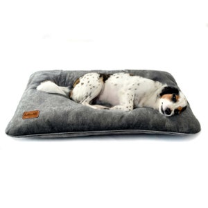 Soft, grey velour pillow for dogs. Pet friendly velvet fabric for dogs and cats. Bite and scratching resistant. Dog nice in touch pillow