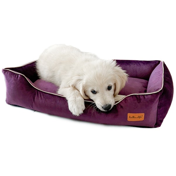 Purple Dog Bed Etsy