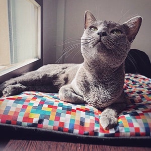 May include: A gray cat with green eyes is lying on a colorful square patterned pet bed. The cat is looking up and has its mouth slightly open.