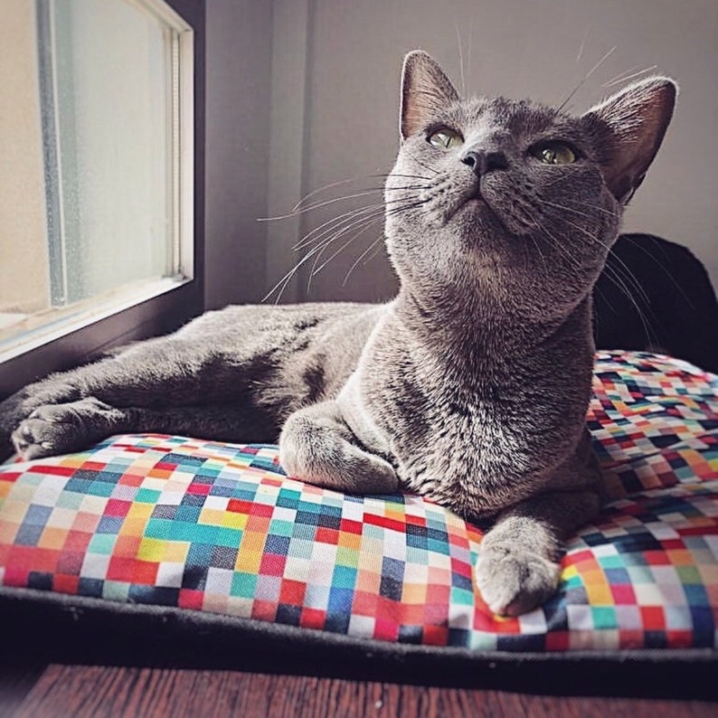 May include: A gray cat with green eyes is lying on a colorful square patterned pet bed. The cat is looking up and has its mouth slightly open.